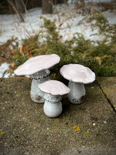 Load image into Gallery viewer, Mushroom - Pink Cap set of 3