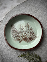 Load image into Gallery viewer, Shallow Bowl - Sage Cedar