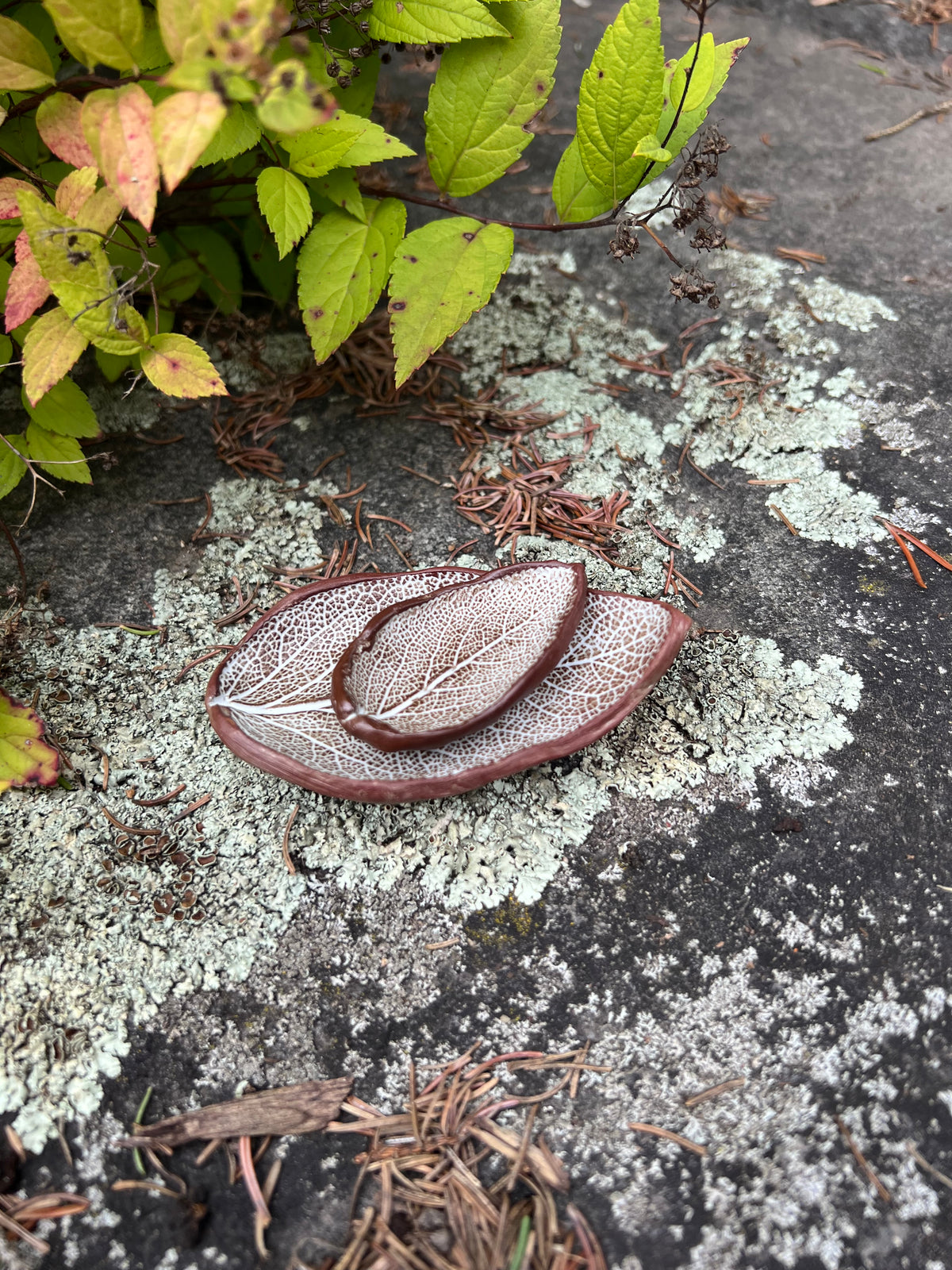 Miscellaneous Treasures