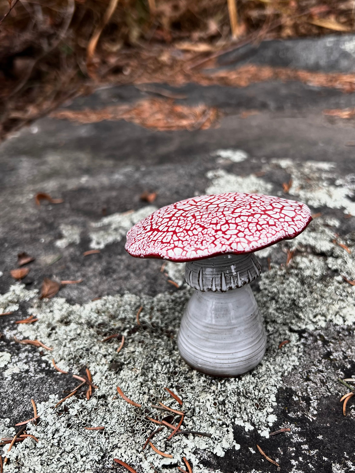 Mushrooms
