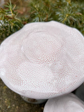 Load image into Gallery viewer, Mushroom - Pink Cap set of 3
