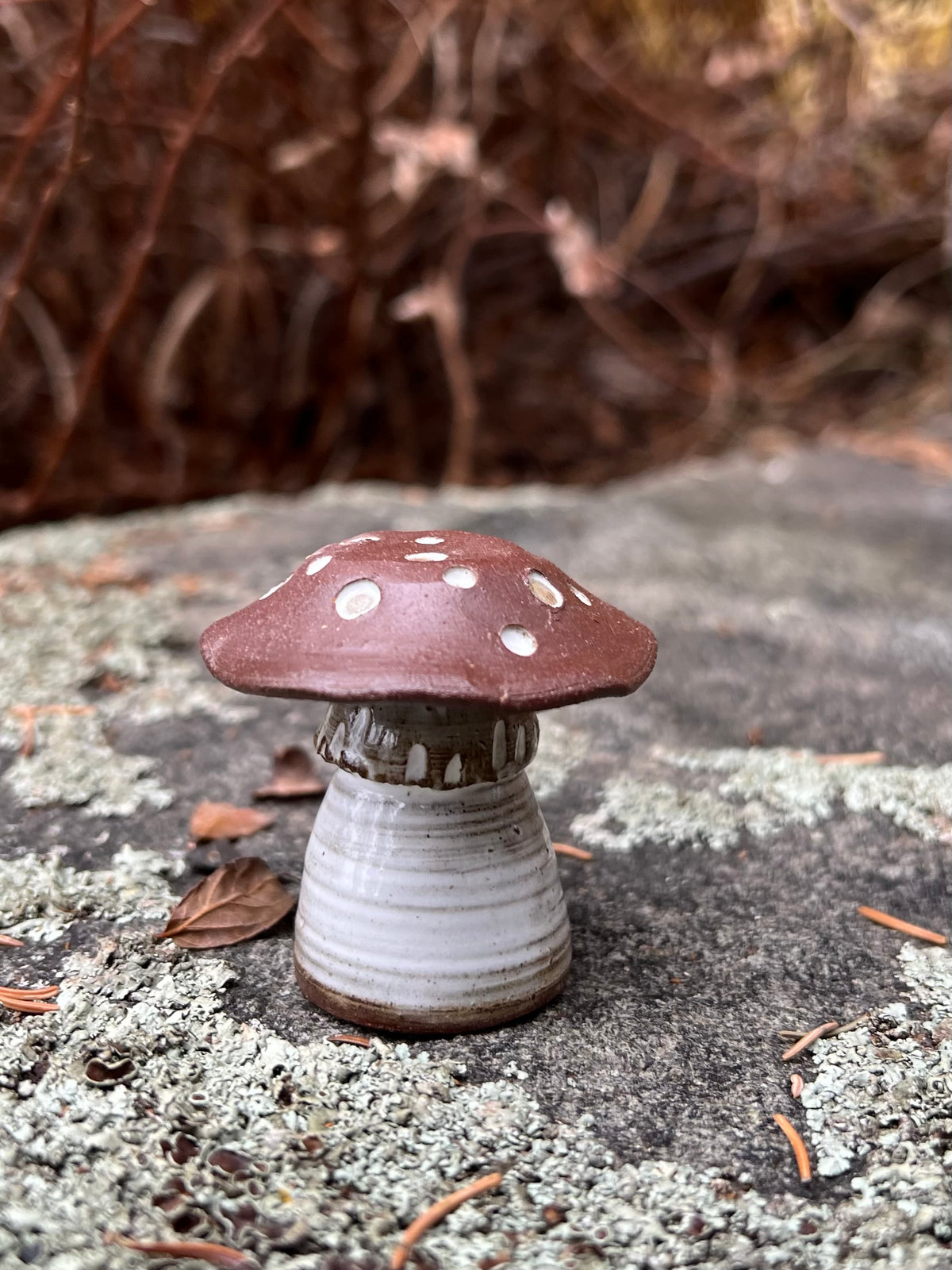 Mushroom - Small Spotted