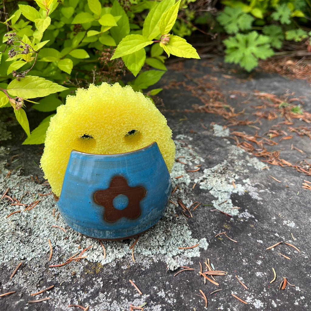 Sponge/Napkin Holder