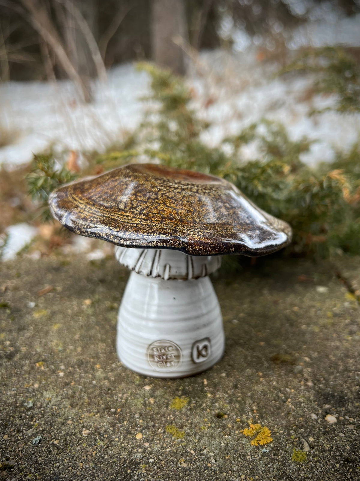 Mushroom -  Copper Lichen