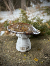 Load image into Gallery viewer, Mushroom -  Copper Lichen
