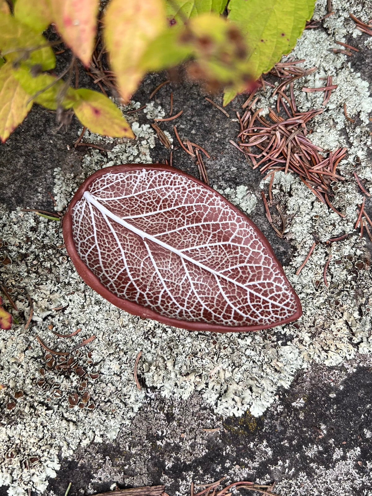 Sage Leaf Spoon Rest / Ring Dish 1