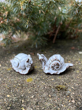 Load image into Gallery viewer, Tiny Snail
