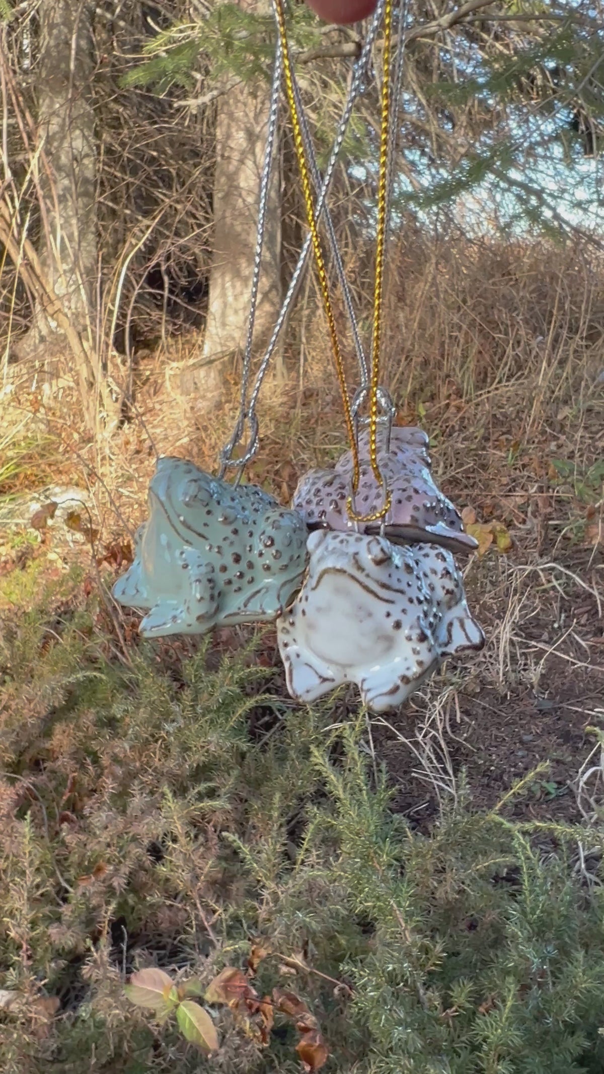 Ornament - Tree Toad